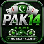 PAK14 Game