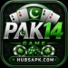 PAK14 Game